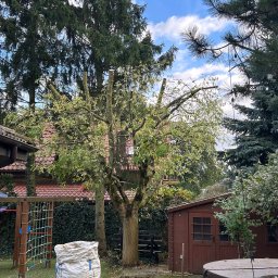 Krzysztof Garstka - Dobra Trawa w Rolce Chodzież