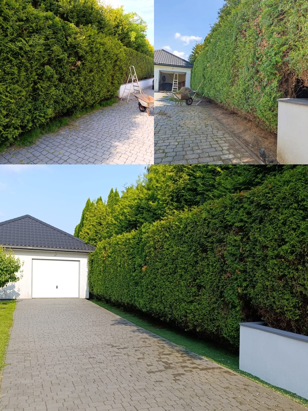 Zdjęcie 'przed i po' strzyżenia żywopłotu z grabiami, taczką i drabiną na tle kostki brukowej i garażu.