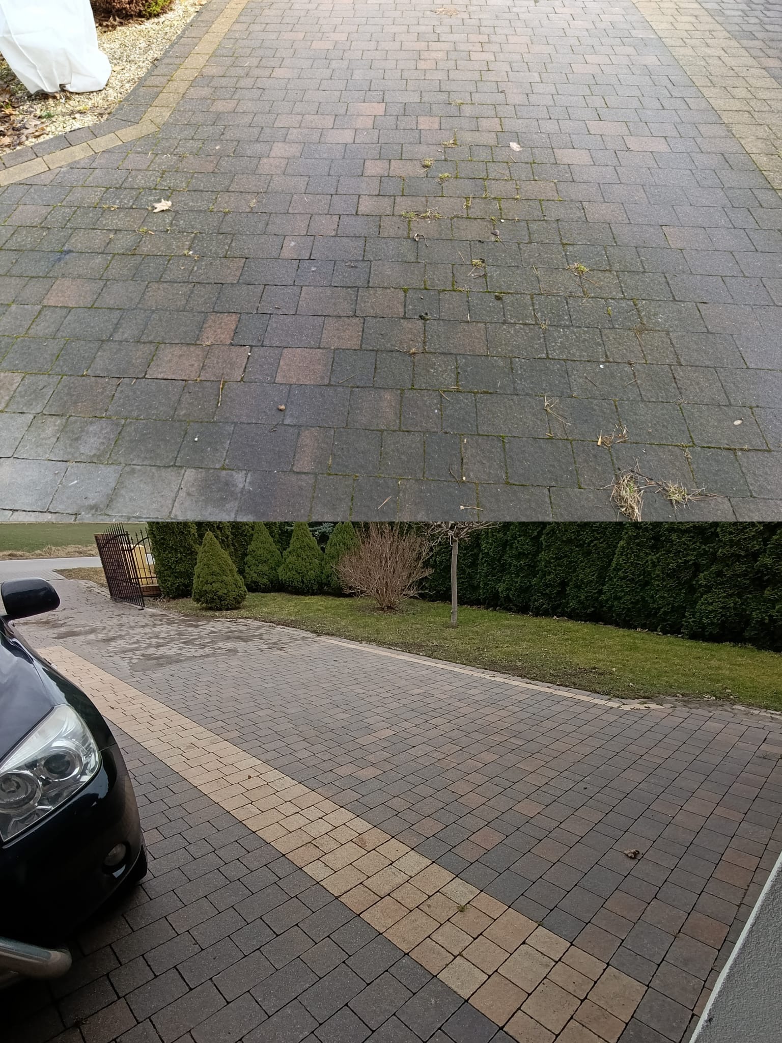 Zdjęcie kostki brukowej przed i po czyszczeniu. Górna część brudna, porośnięta mchem, dolna część czysta, z widocznym wzorem. W tle zieleń i fragment samochodu.