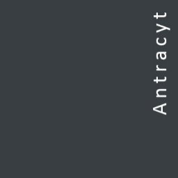 Antracyt - Malowanie Lokali Firmowych Kraków