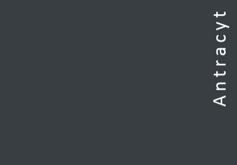 Jednolita, ciemnoszara powierzchnia z pionowym napisem 'Antracyt' po prawej stronie, prezentująca kolor farby lub materiału wykończeniowego.