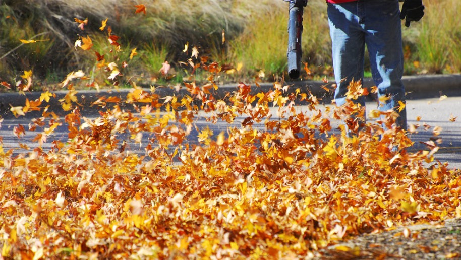 Usuwanie liści dmuchawą w Zielonce. Wirujące jesienne liście. Pracownik w jeansach i rękawicach obsługuje dmuchawę do liści na tle zieleni i chodnika.