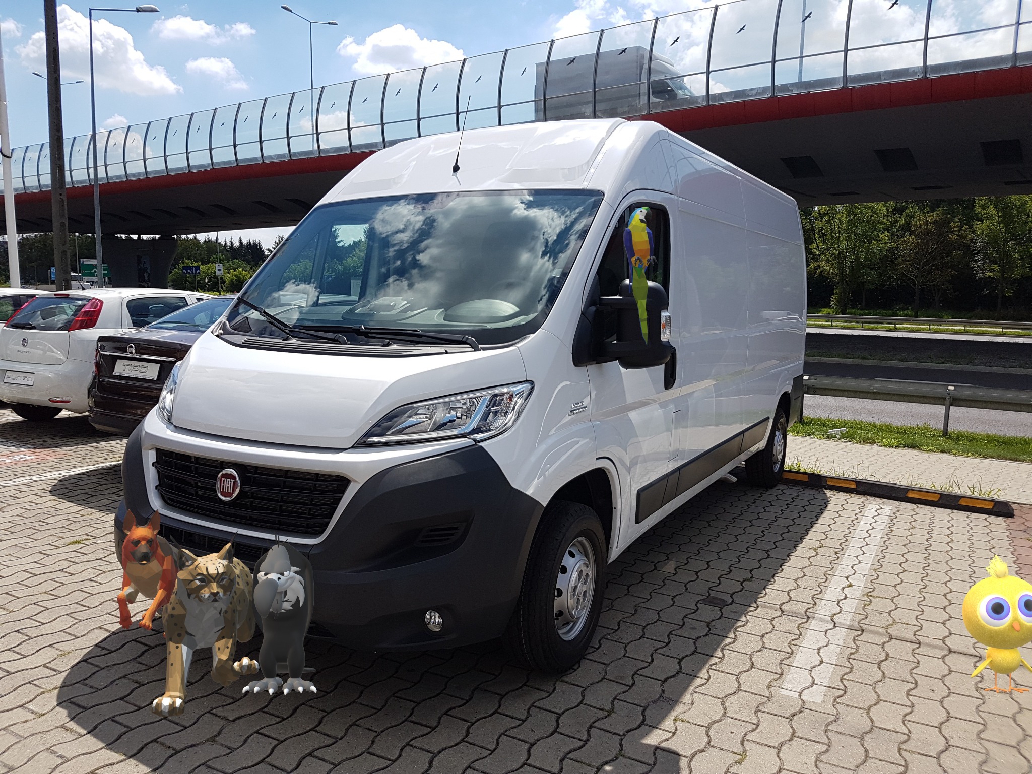 Biały samochód dostawczy Fiat Ducato zaparkowany na brukowanej powierzchni z animowanymi zwierzętami (pies, ryś, ptak) i papugą na lusterku bocznym.