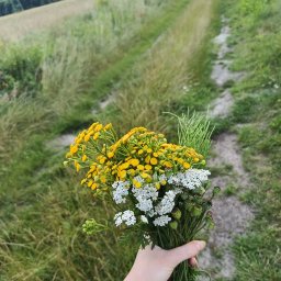 Sara Kaczmarek - Sadzenie drzew i krzewów Grudziądz