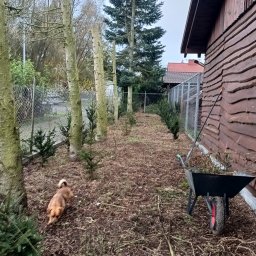 Sprzątanie mieszkań Grudziądz 1