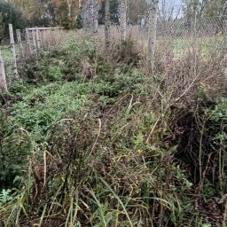 Sprzątanie mieszkań Grudziądz 2