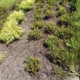 Sprzątanie mieszkań Grudziądz 3