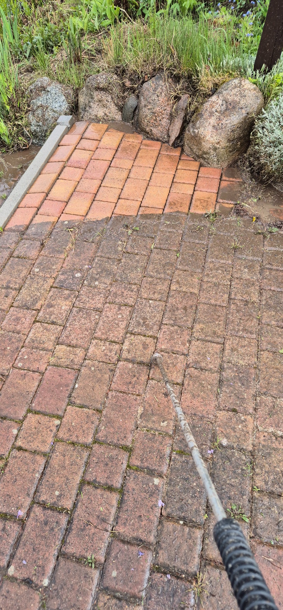 Częściowo umyta, czerwona kostka brukowa, z widoczną różnicą między czystą a zabrudzoną powierzchnią. W tle roślinność i kamienie.