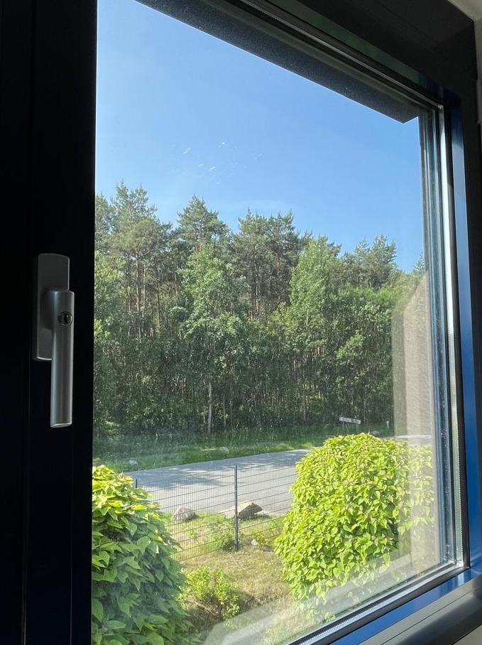 Widok z okna na zieleń i błękitne niebo. Czysta szyba okienna z widoczną klamką. Świeże powietrze i naturalne światło wpadające do pomieszczenia.