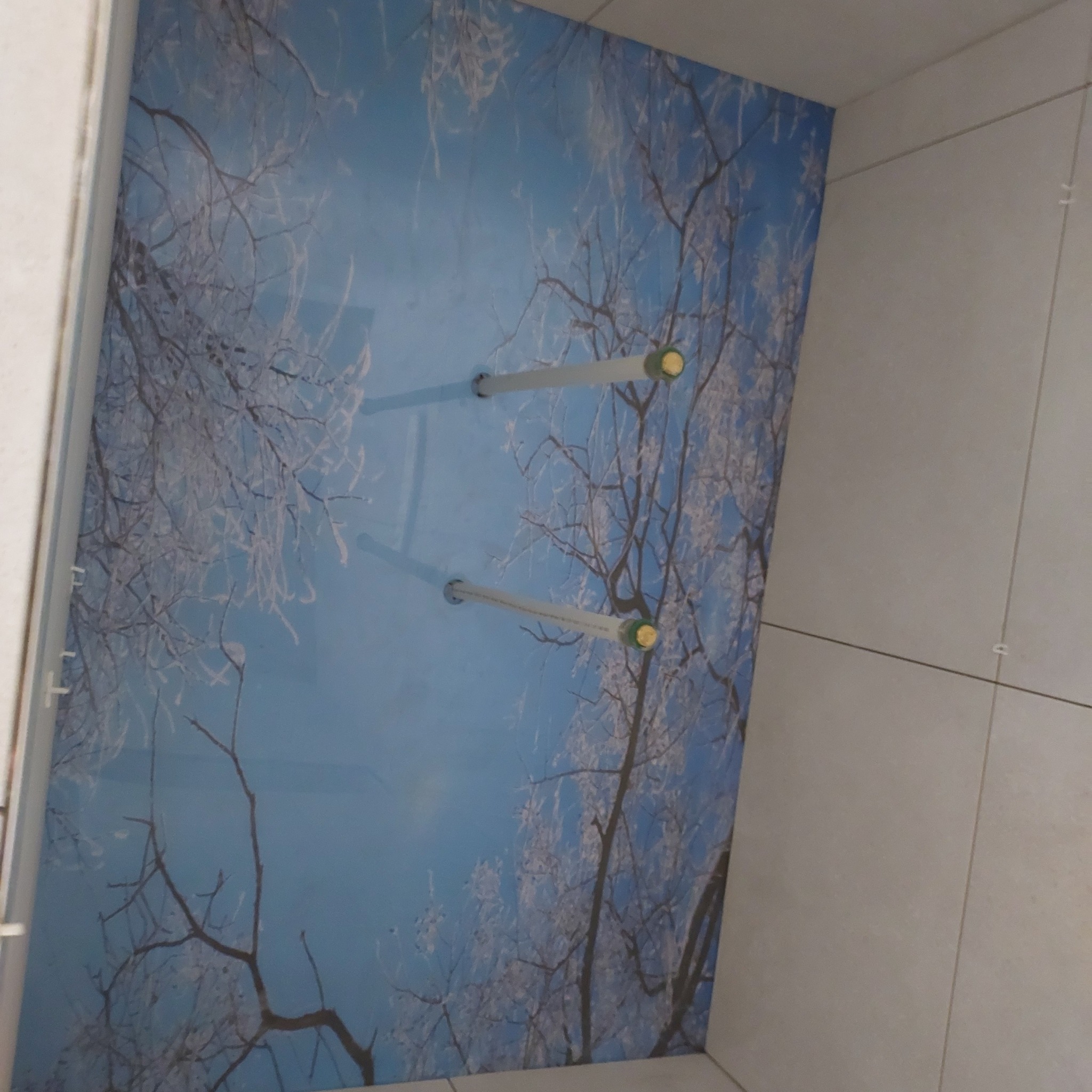 Wykończona ściana w łazience z fototapetą przedstawiającą zimowe drzewa na tle błękitnego nieba, oświetlona dwoma lampami. Widoczne płytki na sąsiedniej ścianie.