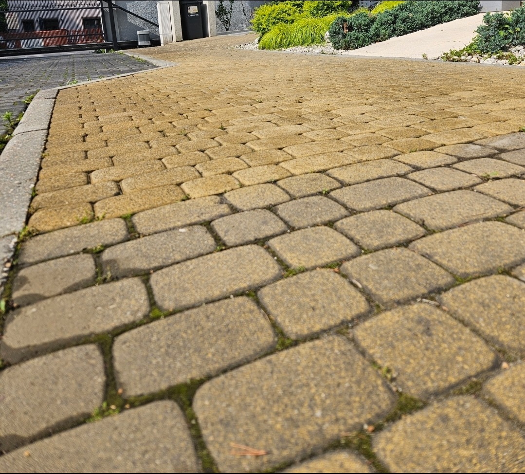 Żółta kostka brukowa ułożona w zygzak, widok z niskiej perspektywy. W tle zieleń i budynek, słoneczny dzień.