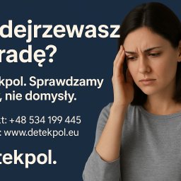 Detektyw Poznań 2
