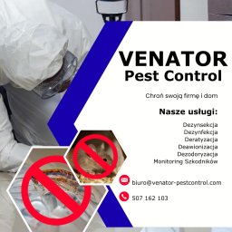 Dezynsekcja i deratyzacja Płock 2