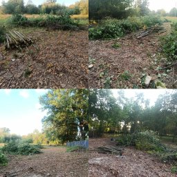 Wycinka drzew Malczyce 2