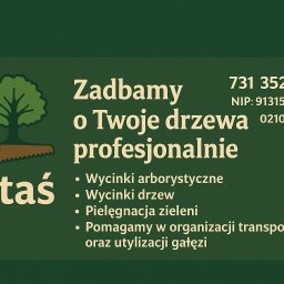 Wycinka drzew Malczyce 1