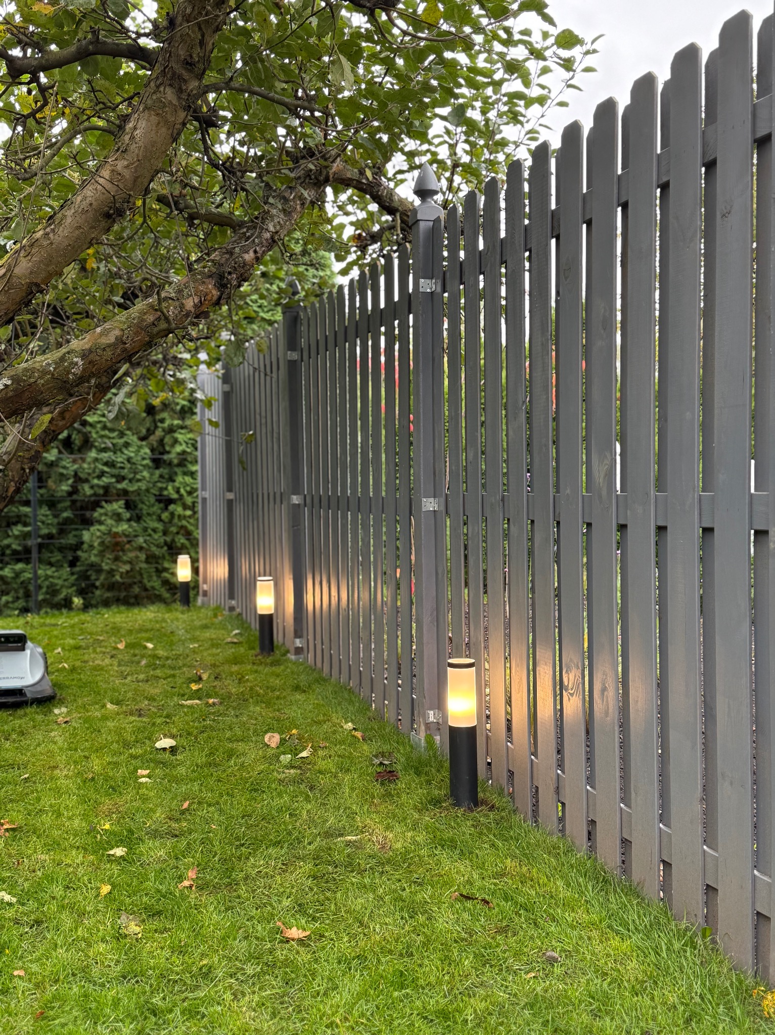 Szary, drewniany płot z oświetleniem ogrodowym w postaci lamp stojących. Obok drzewo i trawnik z robotem koszącym. Ujęcie z niskiej perspektywy.