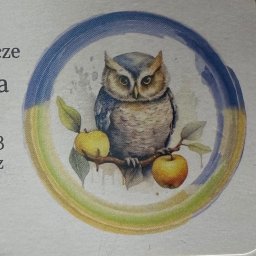 Usługi ogrodnicze Andrii Sova - Projektowanie Trawników Bydgoszcz