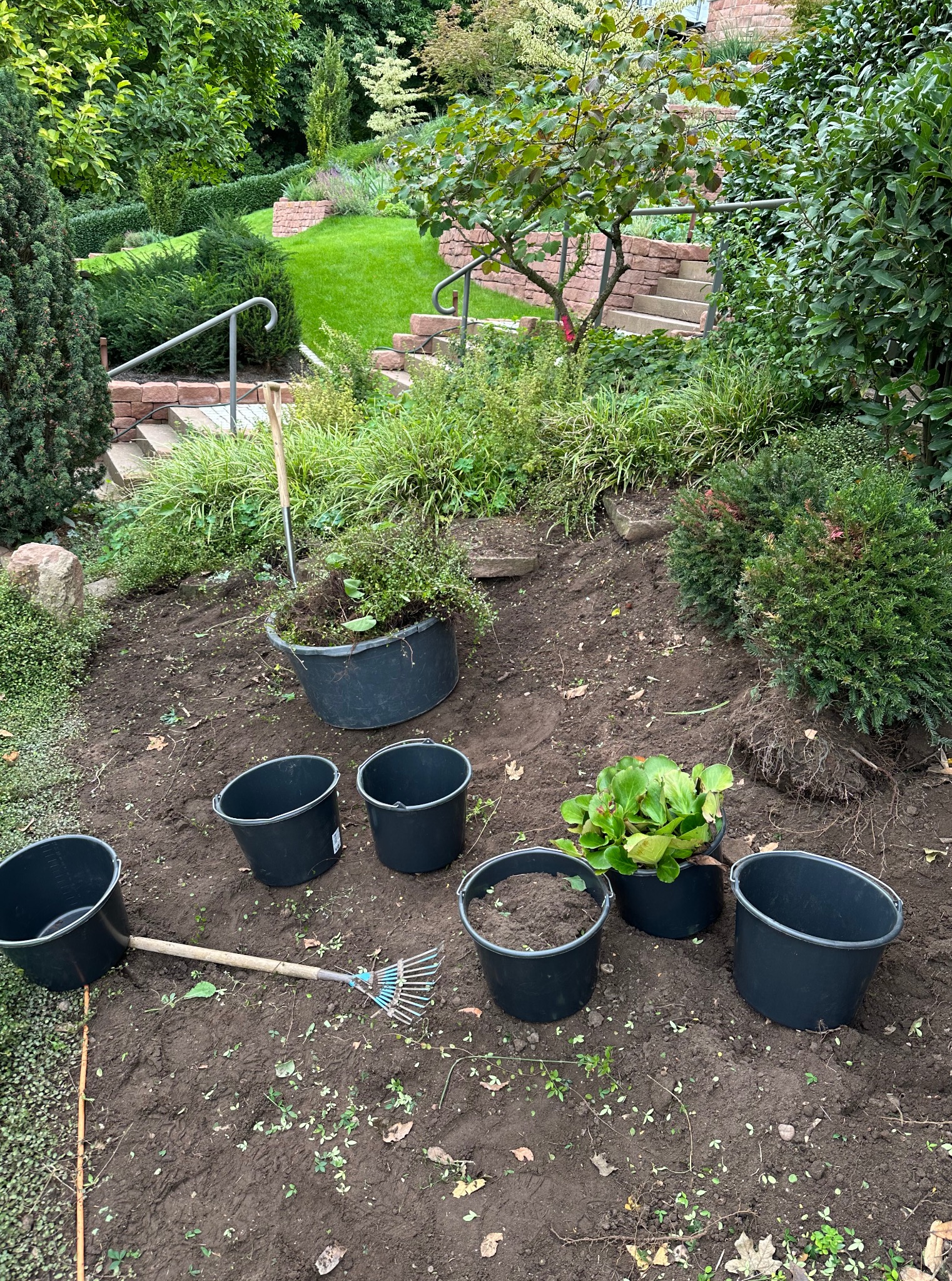 Przygotowanie terenu pod sadzenie roślin w ogrodzie. Widoczne czarne donice, narzędzia ogrodnicze i ziemia. W tle zielona roślinność i schody.