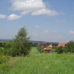 Działka budowlana z widokiem na miasto, otoczona zielenią, z młodą brzozą na pierwszym planie i domami jednorodzinnymi w tle pod błękitnym niebem z chmurami.