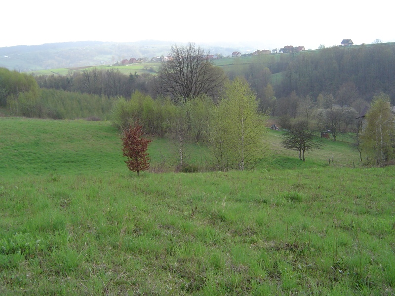 Działka budowlano-rekreacyjna w Chmielniku k. Rzeszowa - 42 ary