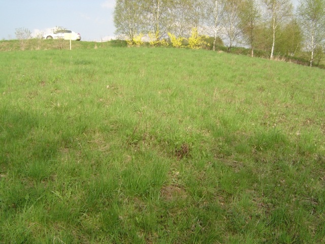 Działka budowlana porośnięta trawą, w tle kwitnące krzewy i drzewa oraz biały samochód na wzgórzu.