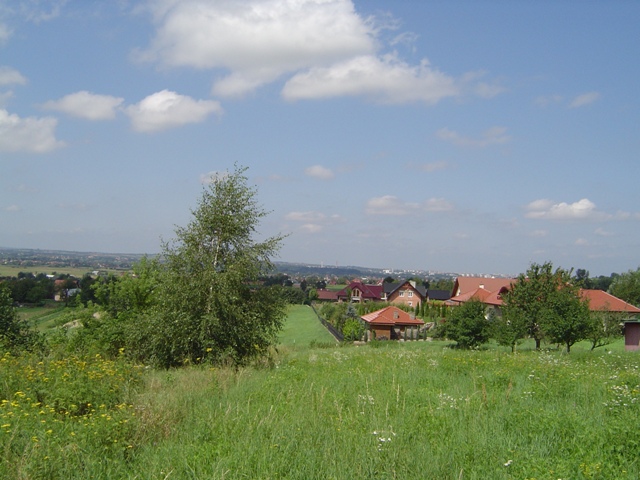 Działka budowlana z widokiem na miasto, otoczona zielenią, z młodą brzozą na pierwszym planie i domami jednorodzinnymi w tle pod błękitnym niebem z chmurami.