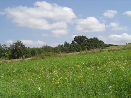 Sprzedam działkę w Rzeszowie- dzielnica Biała o powierzchni 28,5 a