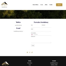 AWNEX GROUP ADRIAN WOJCIECHOWSKI - Strona internetowa z formularzem kontaktowym, numerem telefonu i adresem e-mail. W tle grafika z zielenią. Minimalistyczny design z logo w lewym górnym rogu.