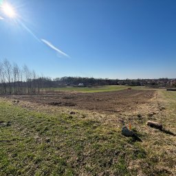 Wycinka drzew Rzeszów 2