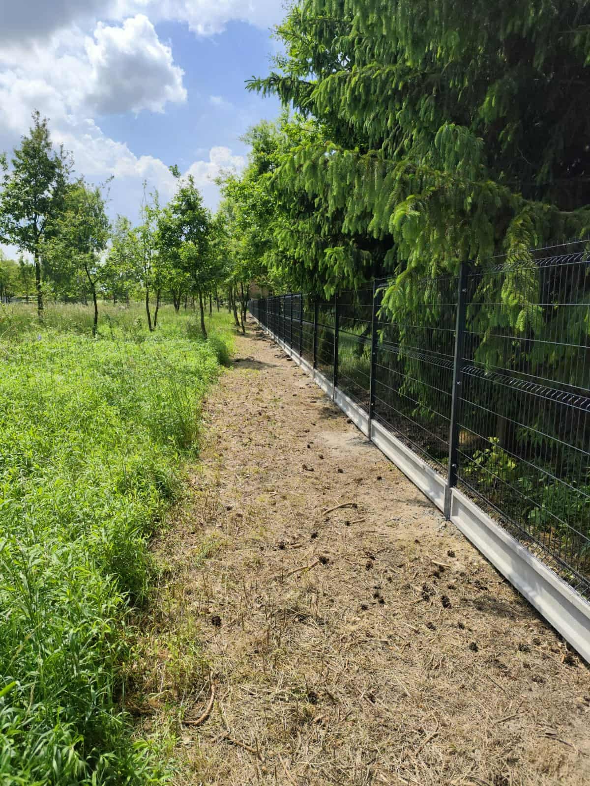 Długi, czarny panel ogrodzeniowy z betonową podmurówką, oddzielający trawnik od ścieżki, biegnący wzdłuż drzew iglastych w słoneczny dzień.