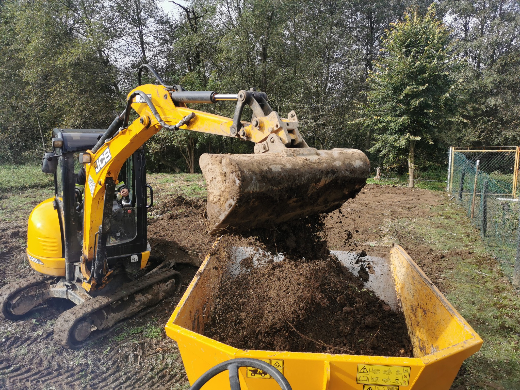 Żółta mini koparka JCB nabiera ziemię i wsypuje do żółtej przyczepki na tle zieleni. Widoczne ślady opon na ziemi i siatka ogrodzeniowa w tle.