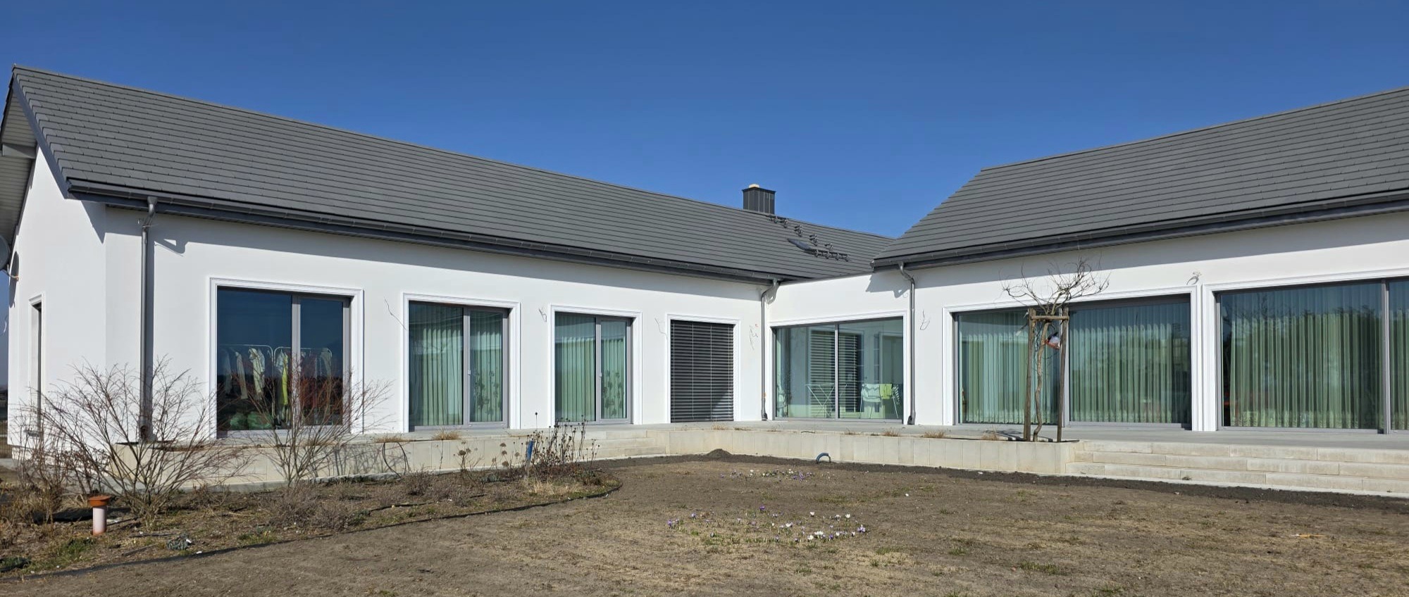 Nowoczesny, parterowy dom z białymi ścianami i szarym dachem w słoneczny dzień. Widoczne duże okna i minimalistyczny ogród z młodymi roślinami.