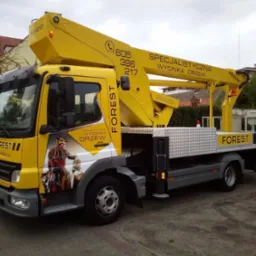 Żółty samochód z podnośnikiem koszowym, z logo firmy FOREST, specjalizującej się w wycince drzew, zaparkowany na tle zabudowań. Widoczne numery kontaktowe.