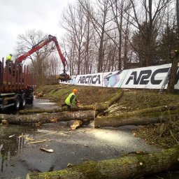 FOREST - Pracownik w kamizelce tnie piłą spalinową pnie drzew na drodze. W tle ciężarówka z dźwigiem i banner reklamowy. Wycinka drzew w trakcie realizacji.