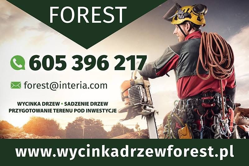 Arborysta z piłą spalinową i linami, w kasku ochronnym, na tle drzew i danych kontaktowych firmy oferującej usługi wycinki i sadzenia drzew oraz przygotowania terenu.