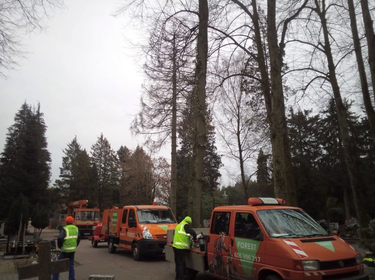Ekipa z pomarańczowymi pojazdami Forest na cmentarzu, przygotowuje się do prac pielęgnacyjnych drzew. Widoczny pracownik z piłą spalinową i podnośnik koszowy.