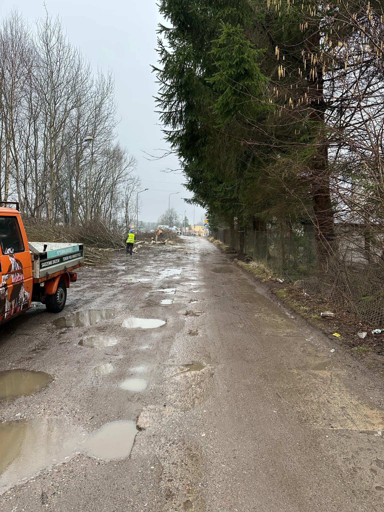 Pomarańczowy samochód z napisem 'Wycinka drzew' w tle, pracownicy w kamizelkach odblaskowych usuwają gałęzie wzdłuż błotnistej drogi po wycince drzew.