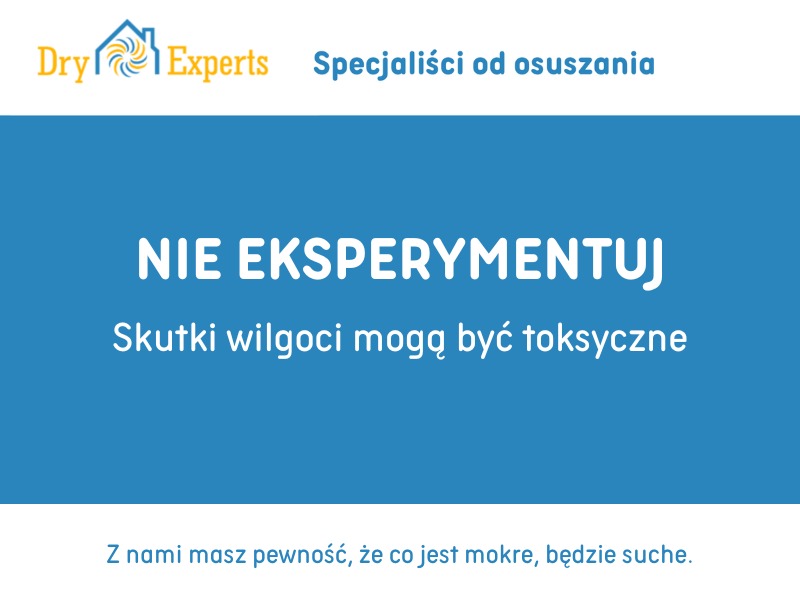 Grafika reklamowa: Nie eksperymentuj! Skutki wilgoci toksyczne. Logo Dry Experts, specjaliści od osuszania, gwarancja, że co mokre, będzie suche. Niebieskie tło, białe napisy.