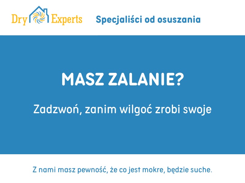 Grafika z logo Dry Experts i hasłem 'Masz zalanie? Zadzwoń, zanim wilgoć zrobi swoje'. Oferta specjalistów od osuszania.