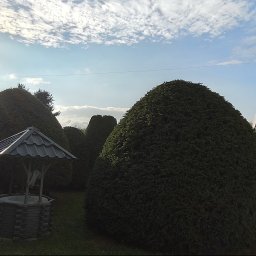 Wycinka drzew Zręcin 2