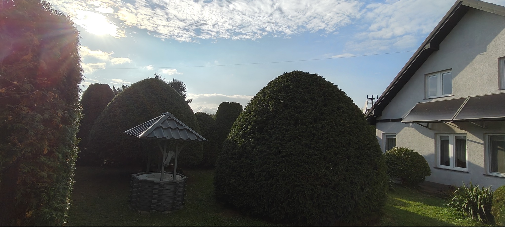 Ogród z równo przyciętymi krzewami w kształcie kopuł i studnią z daszkiem. W tle dom z panelami słonecznymi i błękitne niebo z chmurami.
