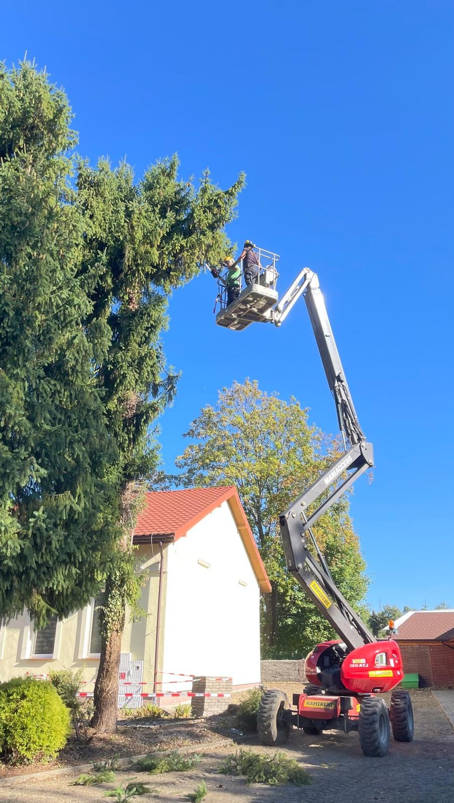 Pracownicy na podnośniku koszowym przycinają gałęzie wysokiej, zielonej choinki w słoneczny dzień. W tle budynek z czerwoną dachówką i błękitne niebo.