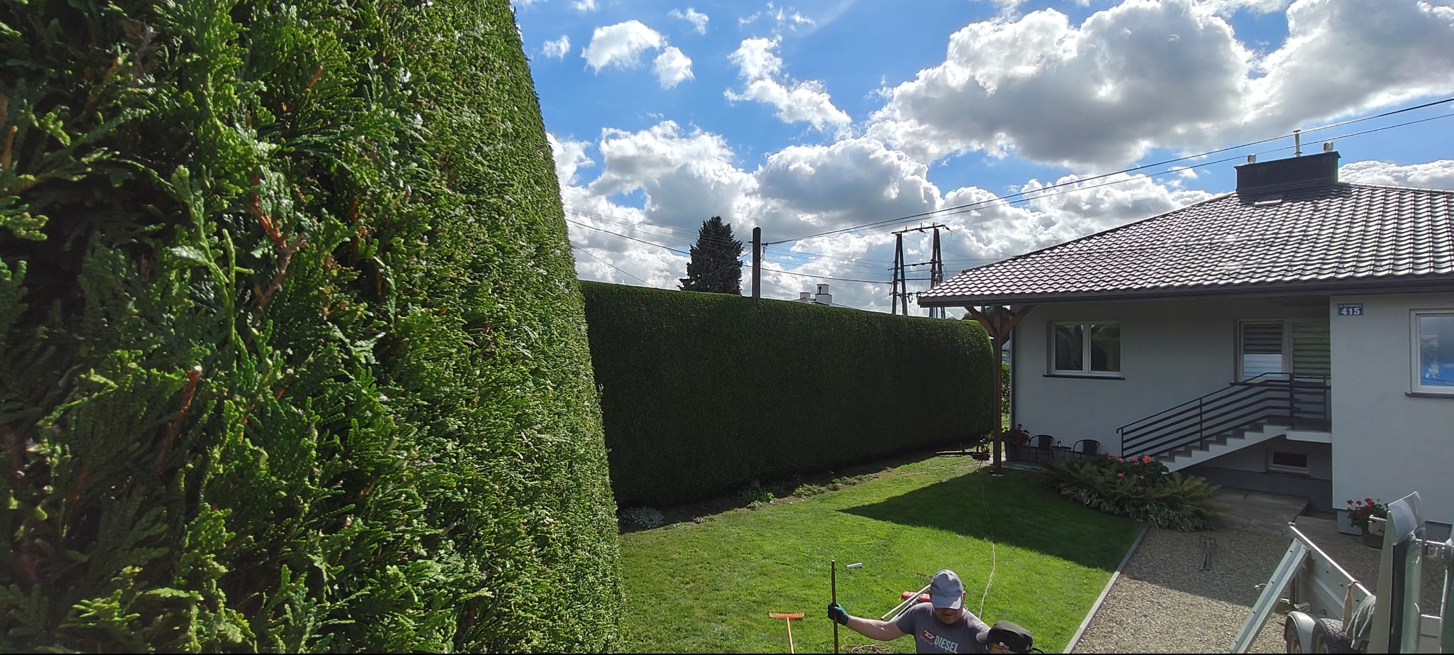 Równy żywopłot z tui po formowaniu, z widocznym ogrodnikiem i narzędziami na tle domu z numerem 415. Błękitne niebo z obłokami.