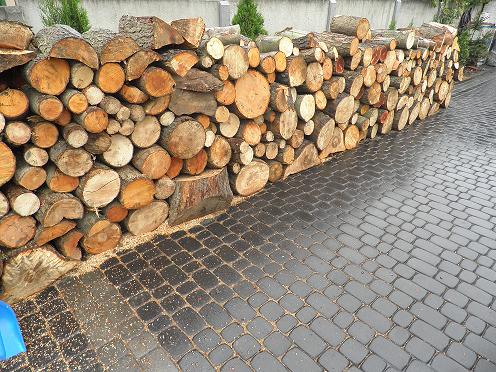 Stos pociętych pni drzew ułożonych wzdłuż betonowego muru na mokrej kostce brukowej, widoczne drobne trociny.