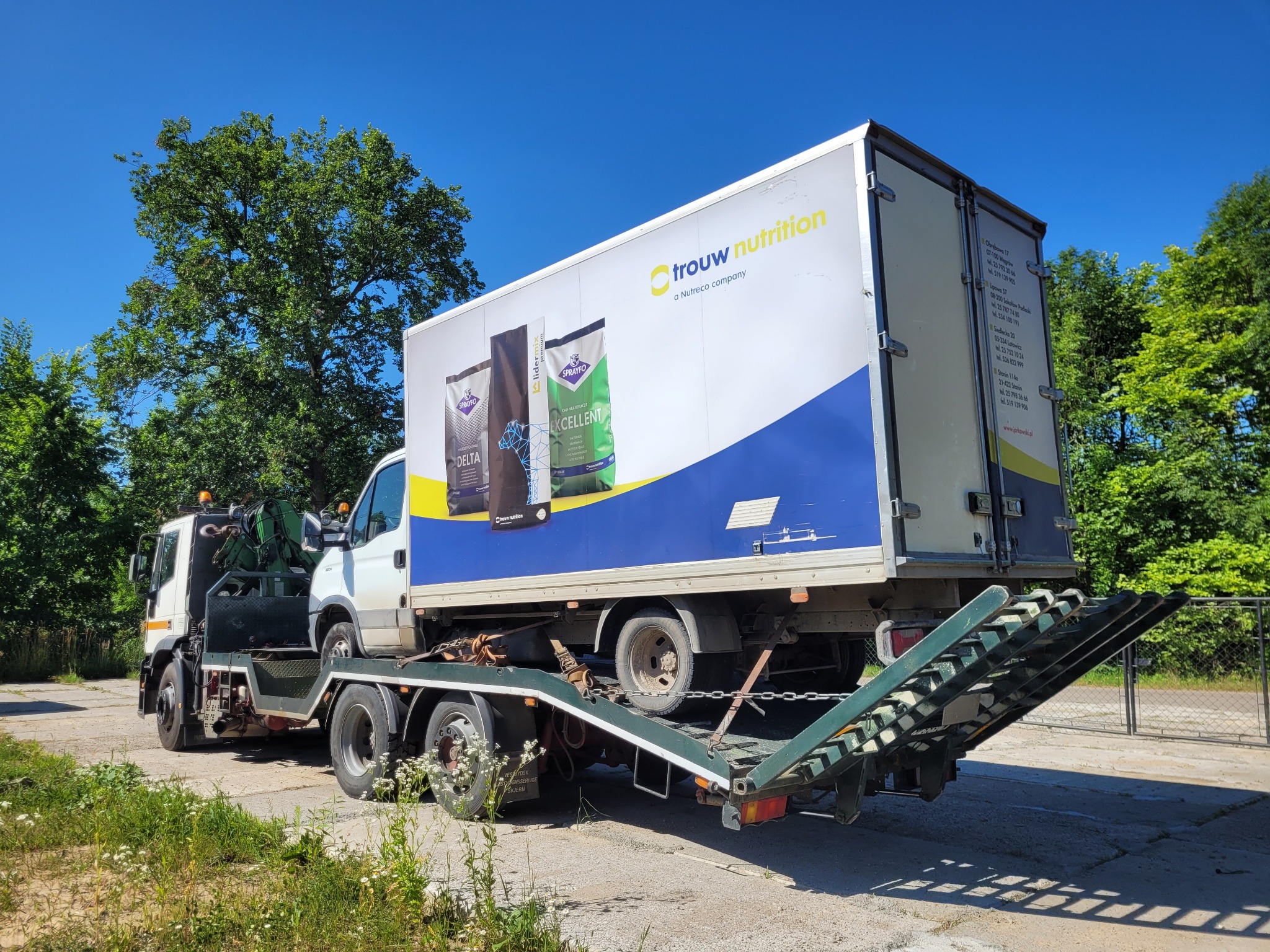 Laweta z platformą transportuje ciężarówkę z reklamą Trouw Nutrition na tle zieleni i błękitnego nieba, w słoneczny dzień.