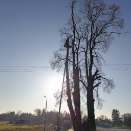 FUH KAMANI Kamil Walczak - Prace przy wysokim drzewie z użyciem podnośnika koszowego. Widoczne ścięte gałęzie i pracownik w koszu. Słoneczny dzień, wiejski krajobraz w tle.