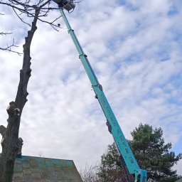 FUH KAMANI Kamil Walczak - Kosz podnośnika z pracownikiem przy koronie drzewa, obok mały domek, w tle błękitne niebo z chmurami. Na podnośniku widoczny numer telefonu.