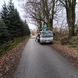 FUH KAMANI Kamil Walczak - Usuwanie gałęzi wchodzących w drogę gminną