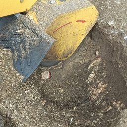 Wycinka drzew Motycz 2