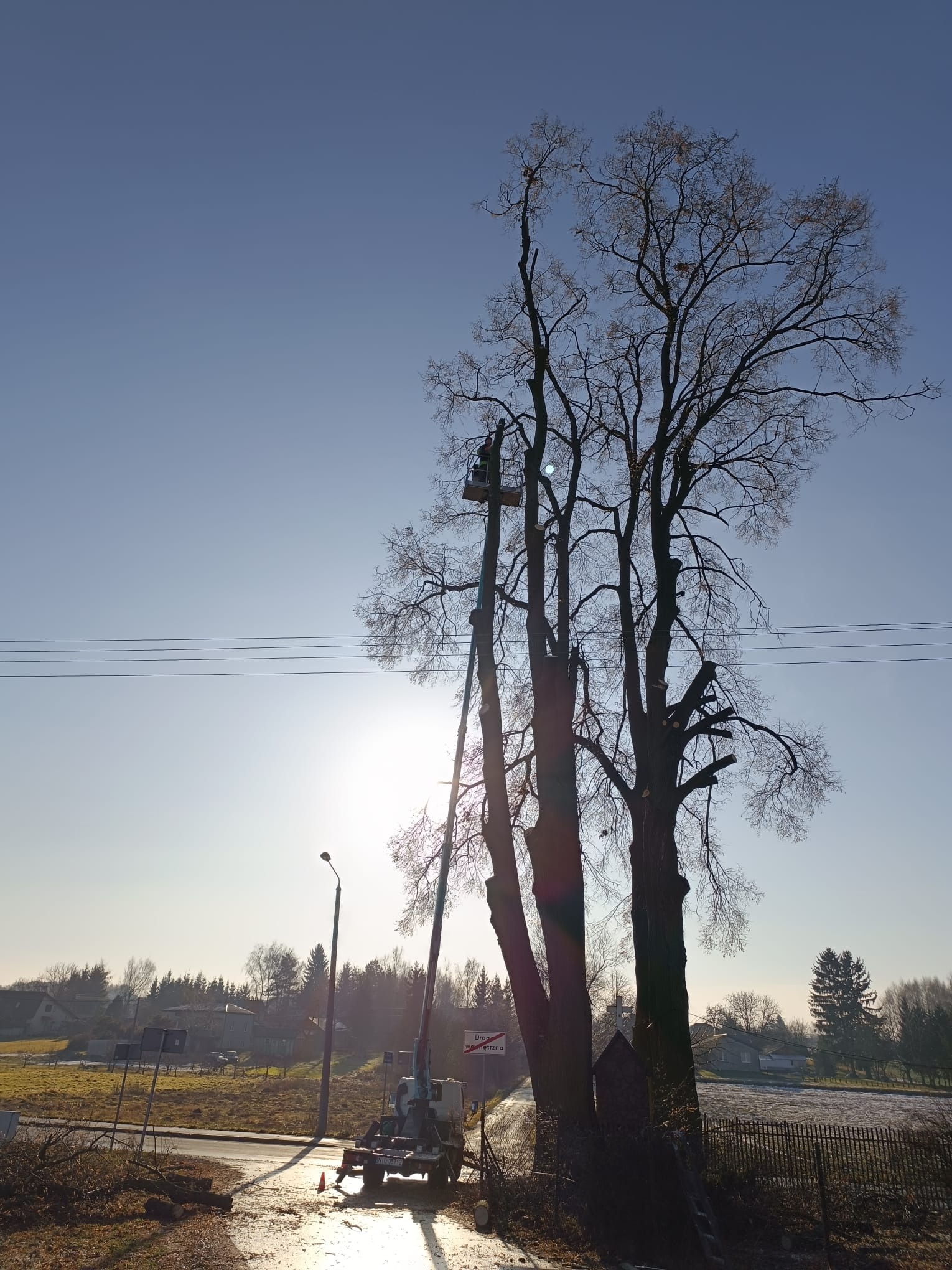 Prace przy wysokim drzewie z użyciem podnośnika koszowego. Widoczne ścięte gałęzie i pracownik w koszu. Słoneczny dzień, wiejski krajobraz w tle.